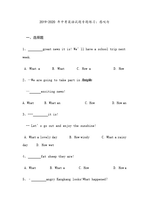 2019-2020年中考英语试题专题练习:感叹句