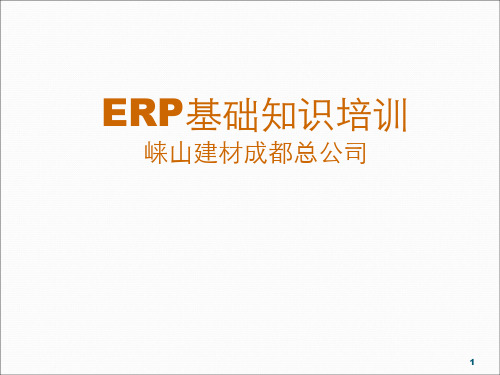 企业管理者ERP基础知识培训ppt课件