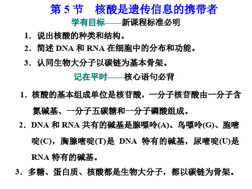 2020版新课程同步人教版高中生物必修第一册:第5节 核酸是遗传信息的携带者