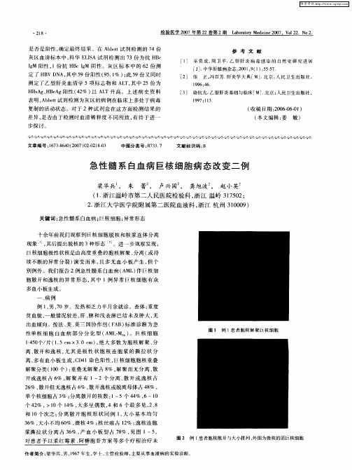 急性髓系白血病巨核细胞病态改变二例