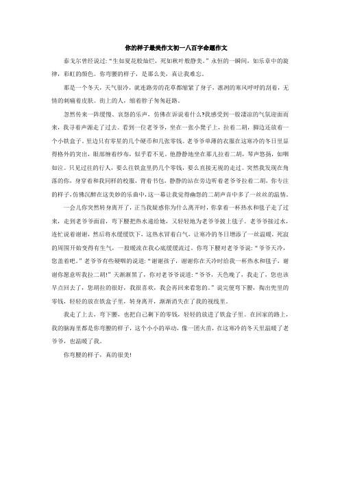 你的样子最美作文初一八百字命题作文