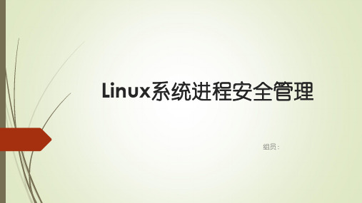 Linux系统进程安全管精品PPT课件