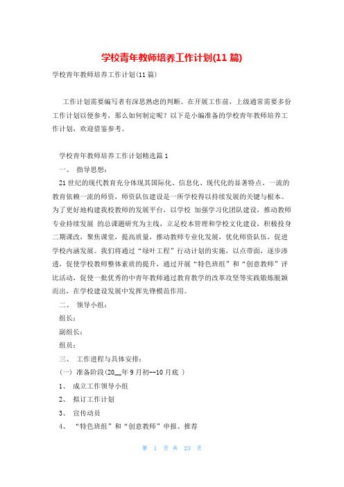 学校青年教师培养工作计划(11篇)