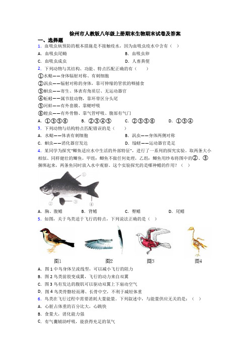 徐州市人教版八年级上册期末生物期末试卷及答案