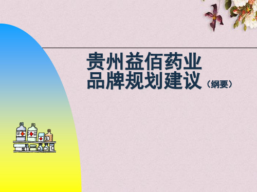 贵州益佰药业品牌规划建议(ppt 33页)