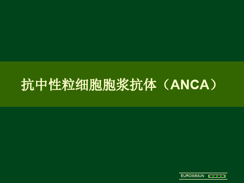 抗中性粒细胞胞浆抗体(ANCA)荧光判读与讲解