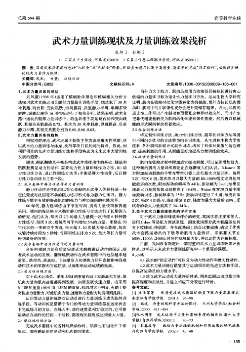 武术力量训练现状及力量训练效果浅析