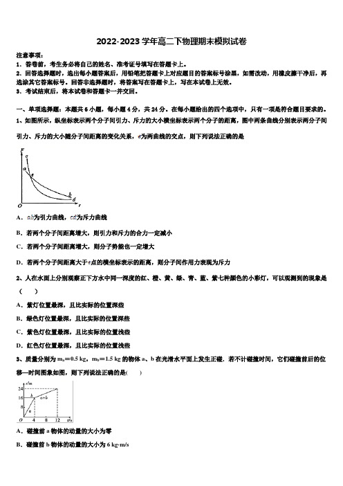 上海师范大学附属中学2022-2023学年高二物理第二学期期末复习检测模拟试题含解析