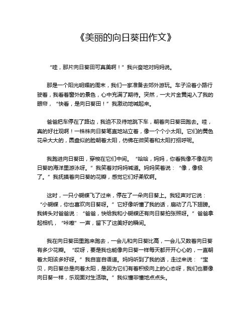  《美丽的向日葵田作文》