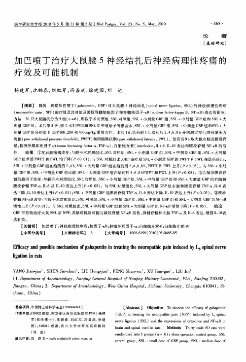 加巴喷丁治疗大鼠腰5神经结扎后神经病理性疼痛的疗效及可能机制