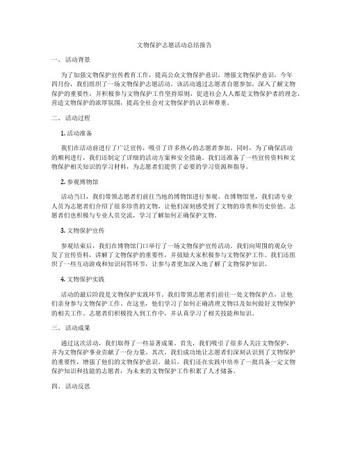 文物保护志愿活动总结报告