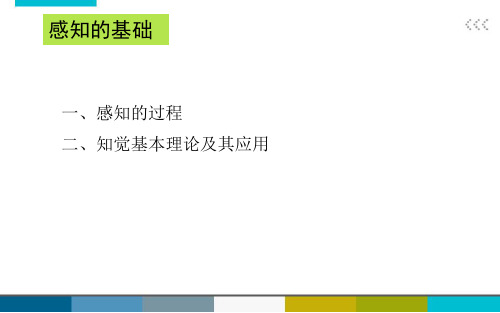 02感知的过程、知觉基本理论及其应用