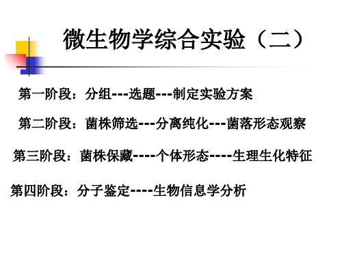 最新微生物综合实验2PPT课件