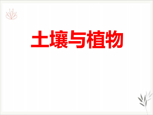 土壤与植物课件新教材