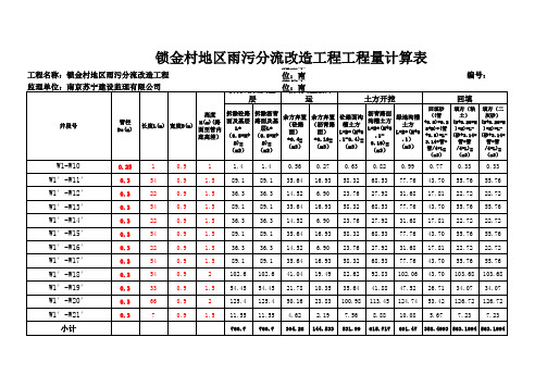 雨污分流工程量汇总表