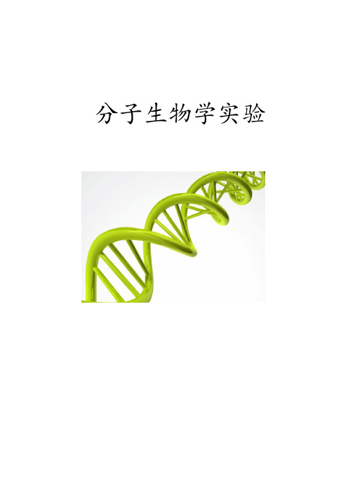 分子生物学实验  实验报告