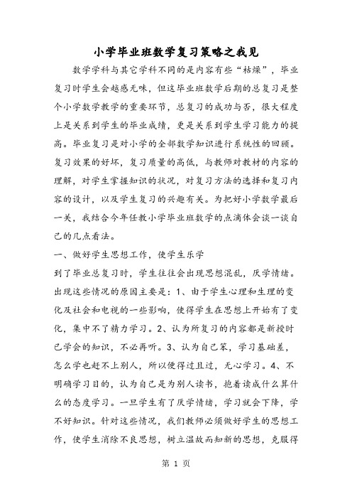 小学毕业班数学复习策略之我见