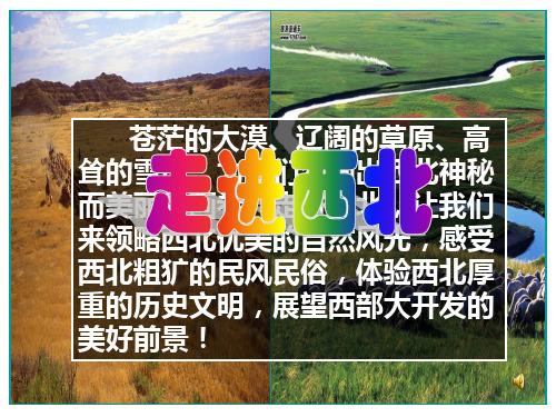 2021届高三复习高中区域地理课件25讲西北地区(1)