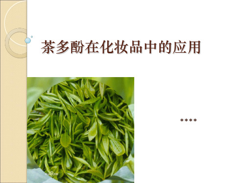 茶多酚在化妆品中的应用 ppt课件