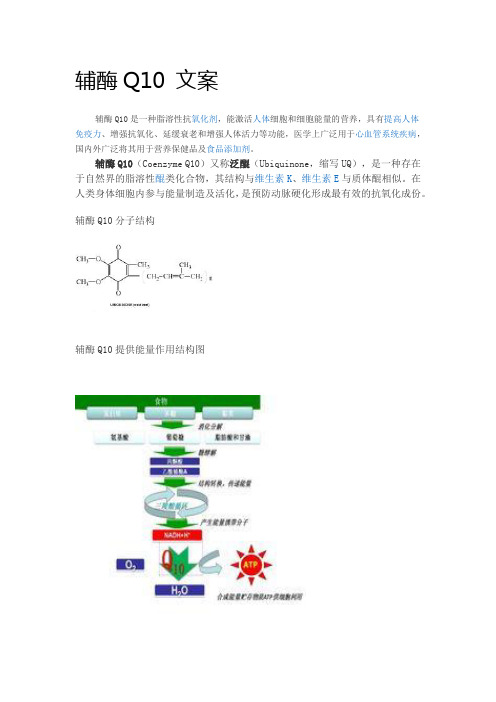 什么是辅酶Q10