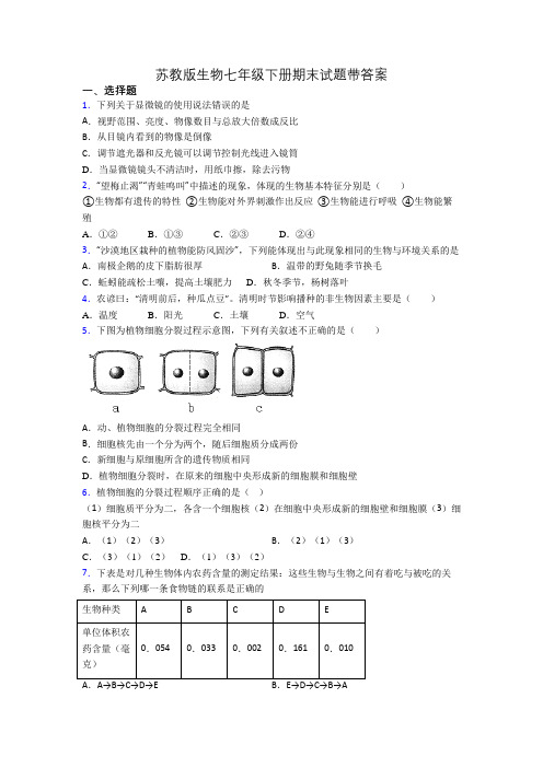 苏教版生物七年级下册期末试题带答案