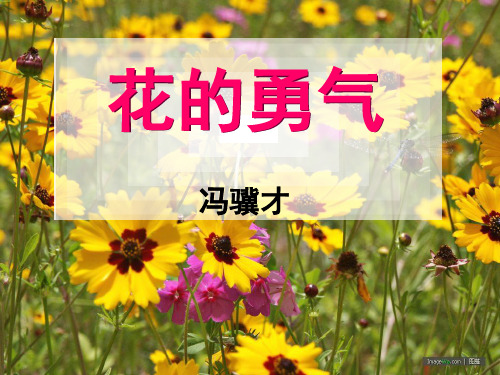 经典：人教版小学四年级语文下册20课《花的勇气》