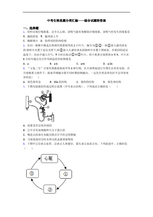 中考生物真题分类汇编——综合试题附答案