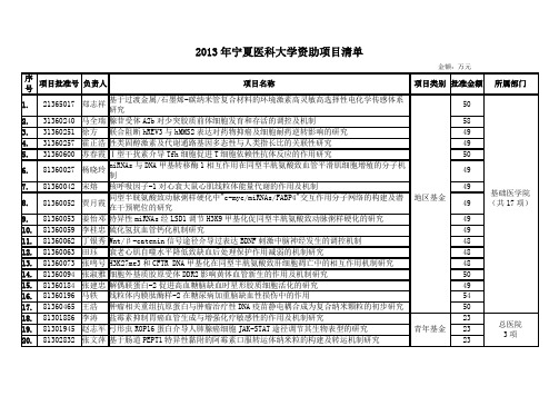 2013年宁夏医科大学资助项目清单