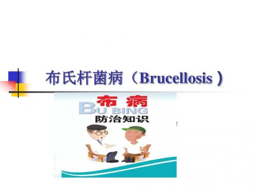 布氏杆菌病(Brucellosis)