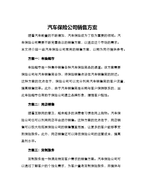 汽车保险公司销售方案