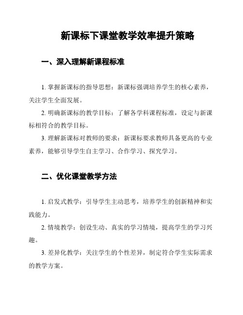 新课标下课堂教学效率提升策略