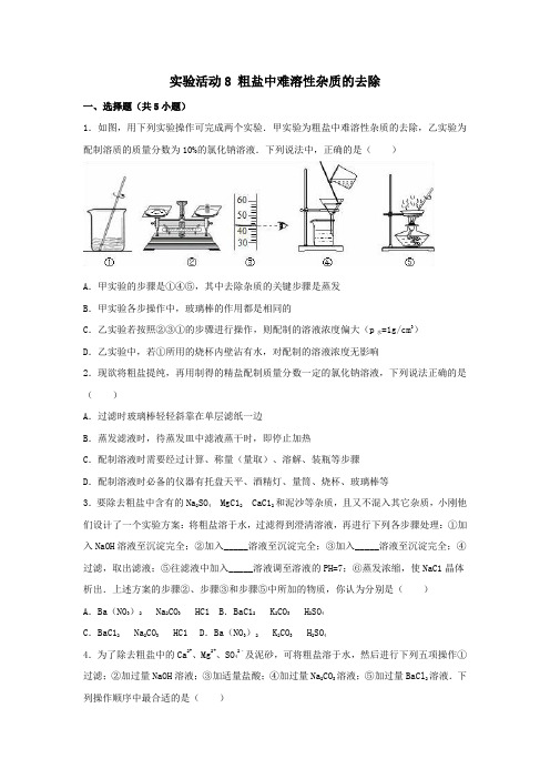 中考化学专题训练实验活动8粗盐中难溶性杂质的去除(含解析)