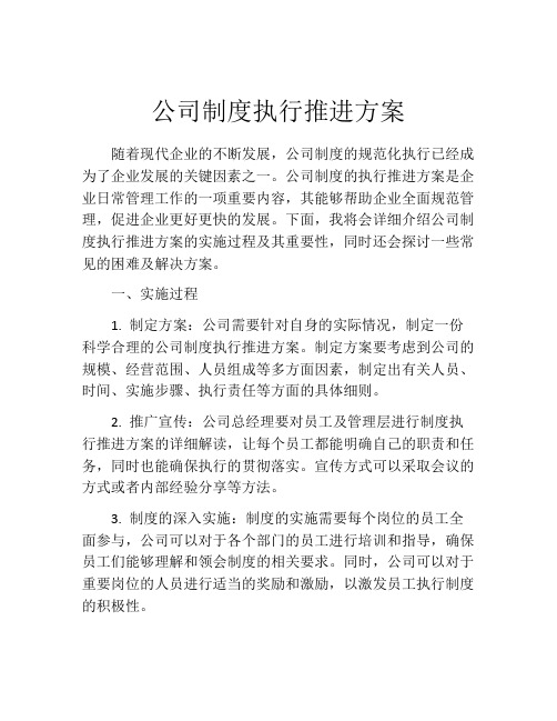 公司制度执行推进方案