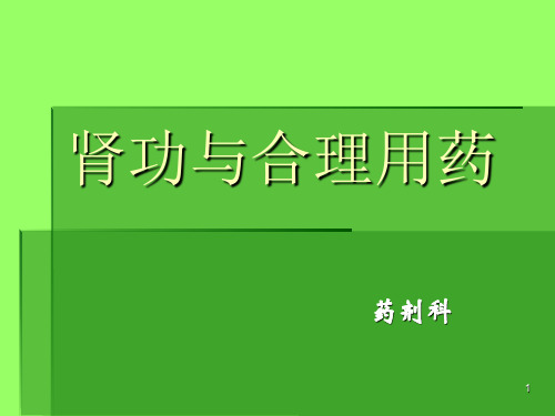 肾功不全与合理用药ppt课件