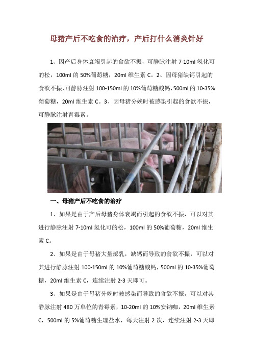 母猪产后不吃食的治疗,产后打什么消炎针好