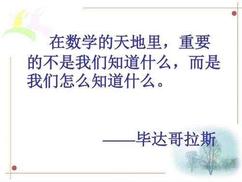 投针试验--北师大版(新编2019教材)