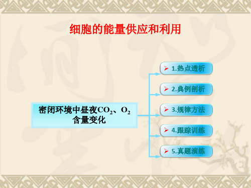 密闭环境中昼夜CO2、O2含量变化专项复习.PPT(共16张PPT)