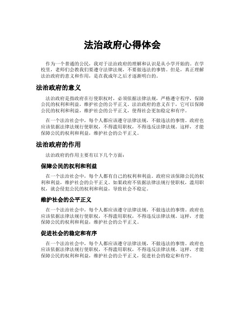 法治政府心得体会