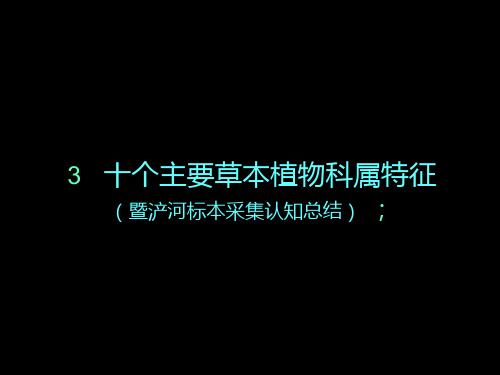 兴庆宫公园基本概况