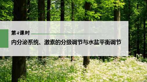 一轮复习  浙科版 内分泌系统、激素的分级调节与水盐平衡调节(92张) 课件