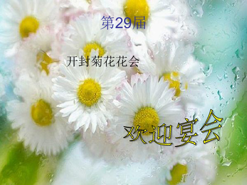 开封菊花花会