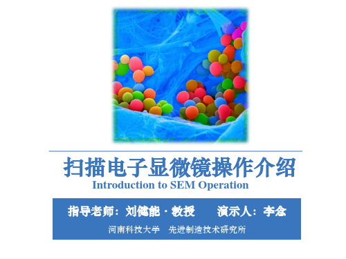 蔡司sigma300扫描电镜操作步骤及实例