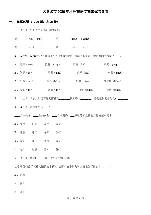 六盘水市2020年小升初语文期末试卷B卷精编