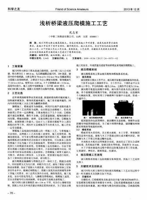 浅析桥梁液压爬模施工工艺