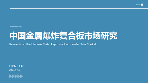 2023年中国金属爆炸复合板行业发展现状分析与未来投资研究报告