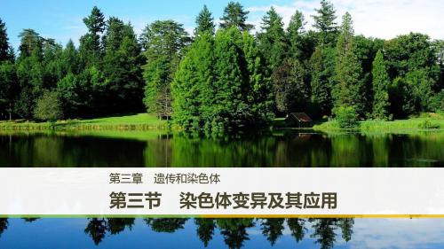 高一苏教版生物必修二课件:3.3 染色体变异及其应用