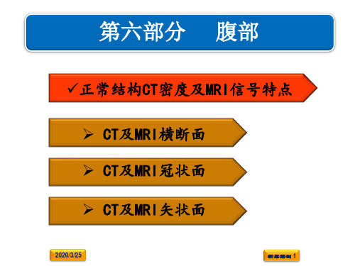 影像断面解剖学-腹部