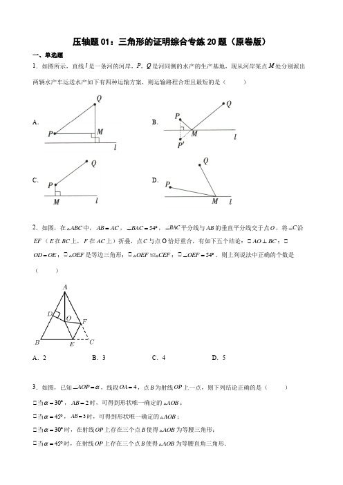 压轴题01：三角形的证明综合专练20题(原卷版末精选题汇编(北师大版)