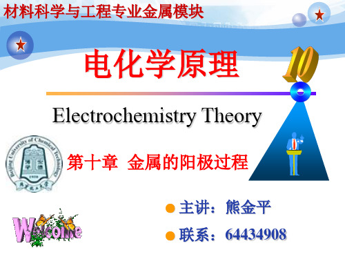 电化学第十章