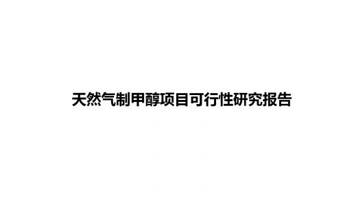 天然气制甲醇项目可行性研究报告